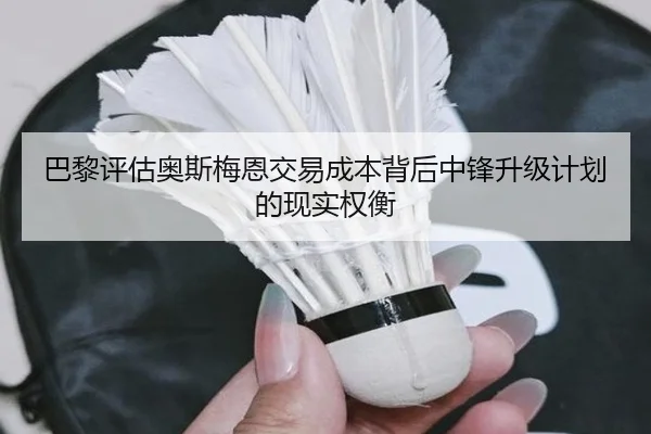 巴黎评估奥斯梅恩交易成本背后中锋升级计划的现实权衡