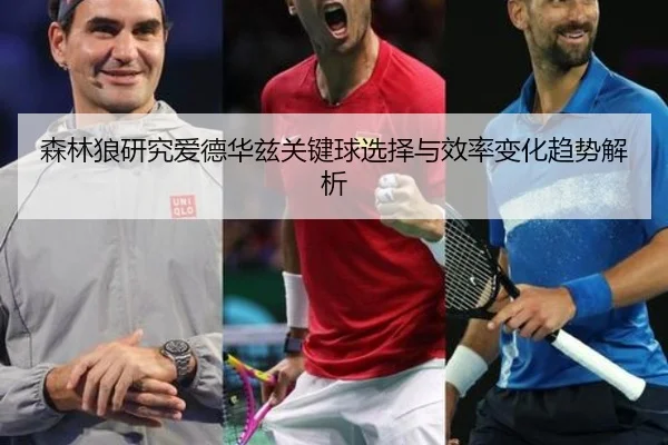 森林狼研究爱德华兹关键球选择与效率变化趋势解析