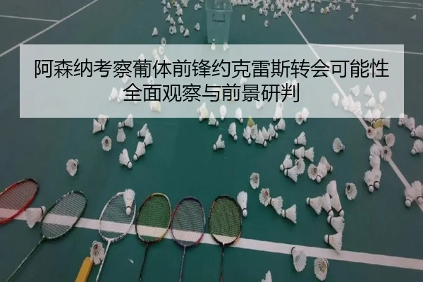 阿森纳考察葡体前锋约克雷斯转会可能性全面观察与前景研判