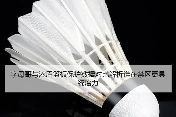 字母哥与浓眉篮板保护数据对比解析谁在禁区更具统治力